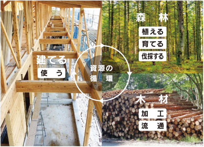 日本の風土に合った木造軸組在来工法を良質な木材で実現